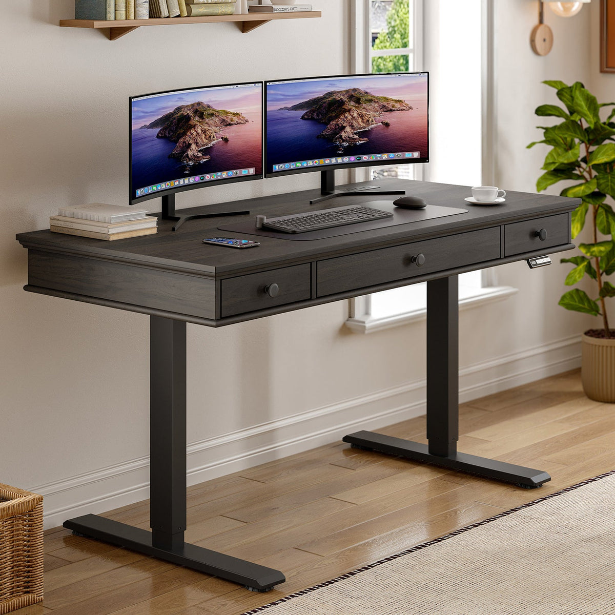 55 x 23 in Electric Standing Desk with Drawers