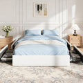 Teddy Boucle Platform Bed with 4 Storage Drawers