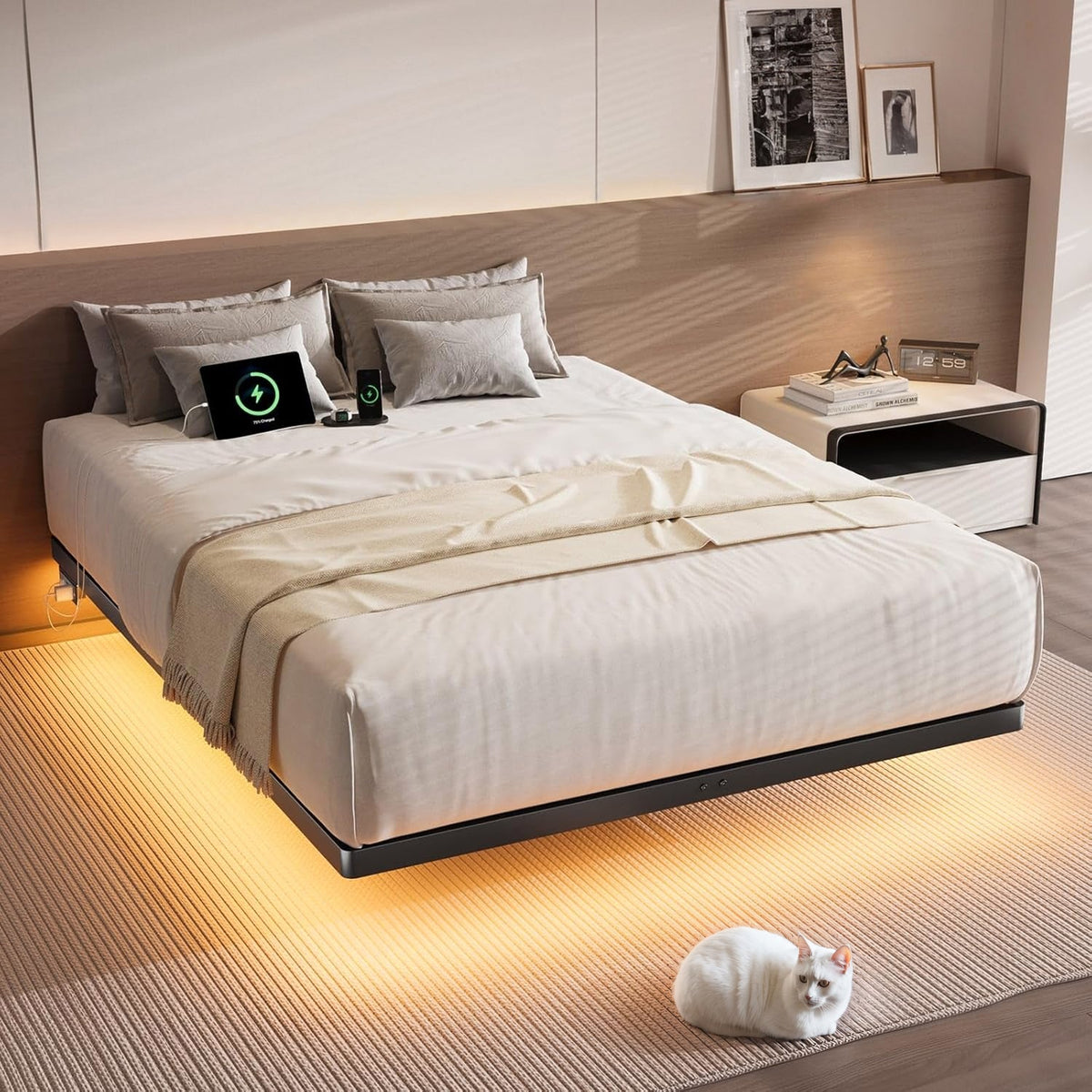 Floating Metal Platform Bed Frame with LED Lights