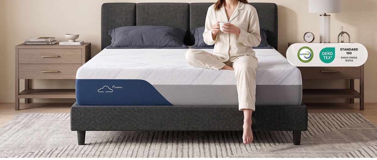 10 Inch Memory Foam Mattress with Cooling Ice Silk Cover